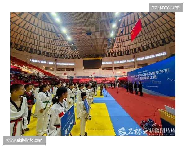 女性参与度提升：跆拳道赛场上的巾帼风采